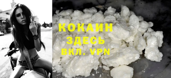 шишки Арсеньев