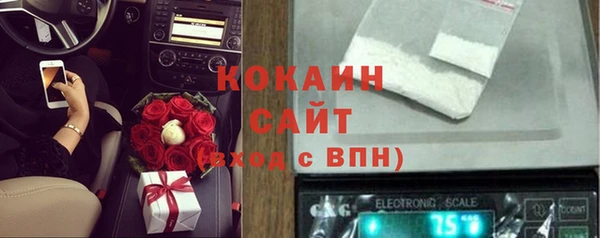 кокс Алексин