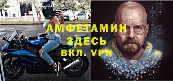 шишки Арсеньев