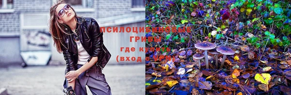 jwh Нея