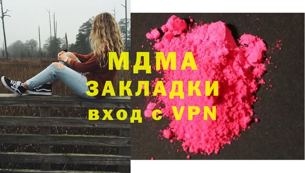 шишки Арсеньев