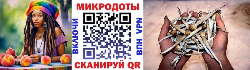 Псилоцибиновые грибы прущие грибы Абдулино