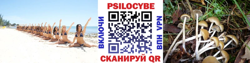 Галлюциногенные грибы прущие грибы  omg как зайти  Абдулино  магазин продажи  